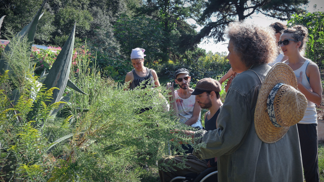 AXIS dancers visit Tallahassee permaculture site