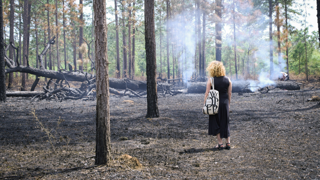 Walking through controlled burn at Pebble Hill Plantation