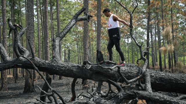 Walking through controlled burn at Pebble Hill Plantation