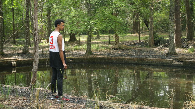 Pebble Hill Plantation