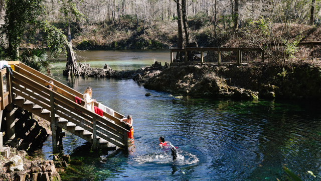 Graney and her collaborators at Madison Blue Springs for underwater video shoot