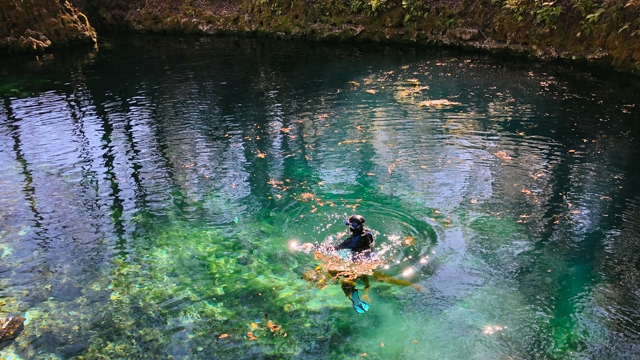 Petuch prepping for video shoot at Madison Blue Springs