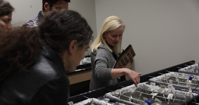 Dr. McEwan explains the specialized treatment process to remove rust from iron work artifacts.